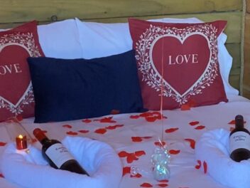 10201288-85be-4f70-b759-db10f2f48cb6